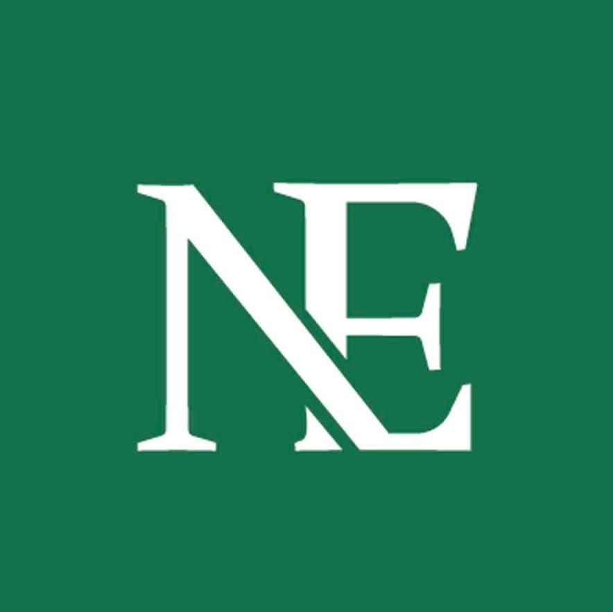 New Era Solution logo